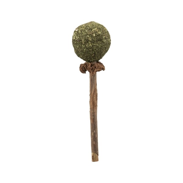 Trixie matatabi lolly met catnip