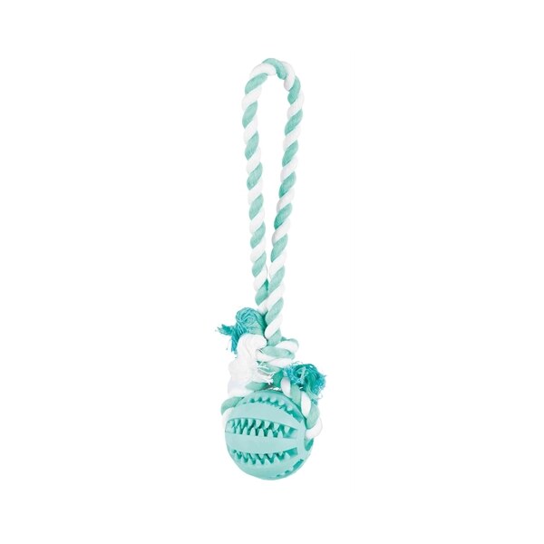 Trixie denta fun natuurrubber bal met muntsmaak aan touw