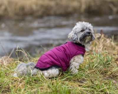 Trixie hondenjas arlay bes 33cm