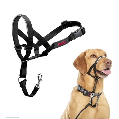 Company of animals halti headcollar zwart