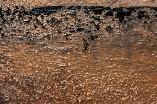 Bronze twighlight1